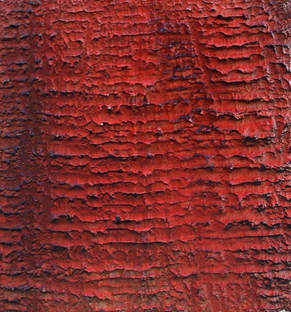 image01
